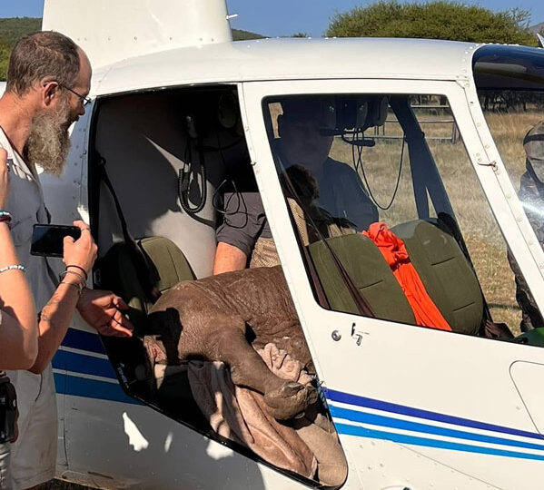 rhino rescue helicopter