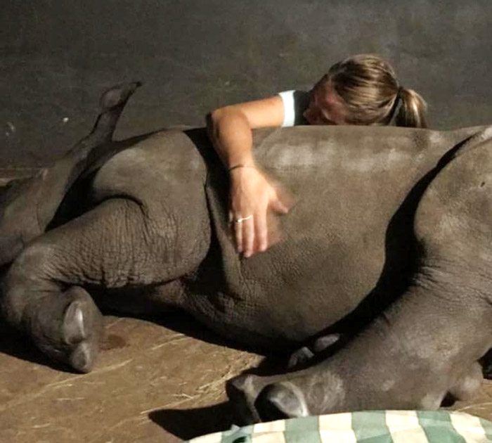 RhinoRescue03